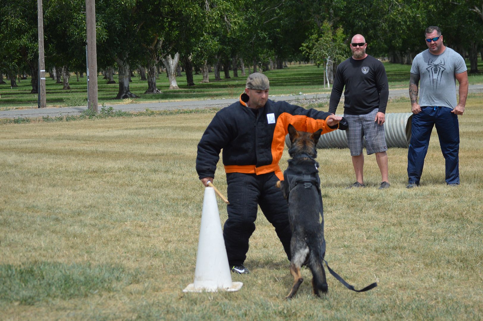 West Coast (California) PSA Decoy Camp German Shepherds Forum